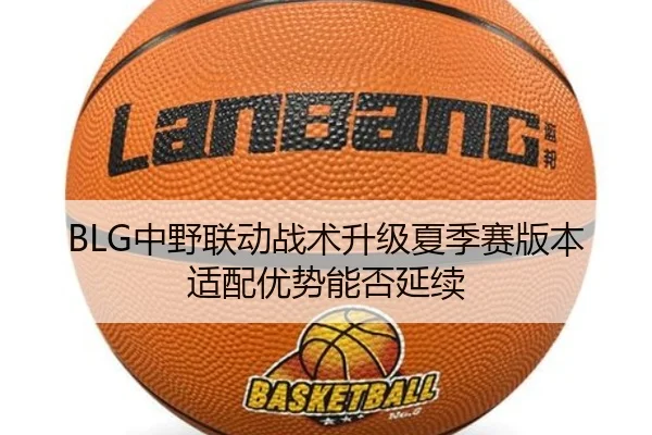 img_1783436850232_362_0_847.jpg